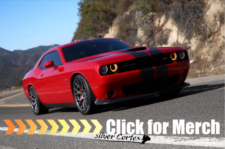 SRT LIFE